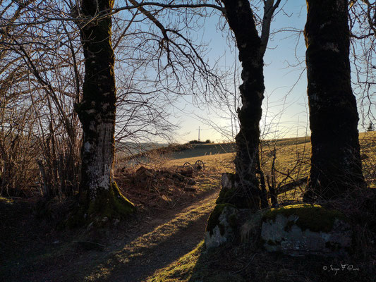 L'épée de Murat-le-Quaire - Massif du Sancy - Auvergne - France