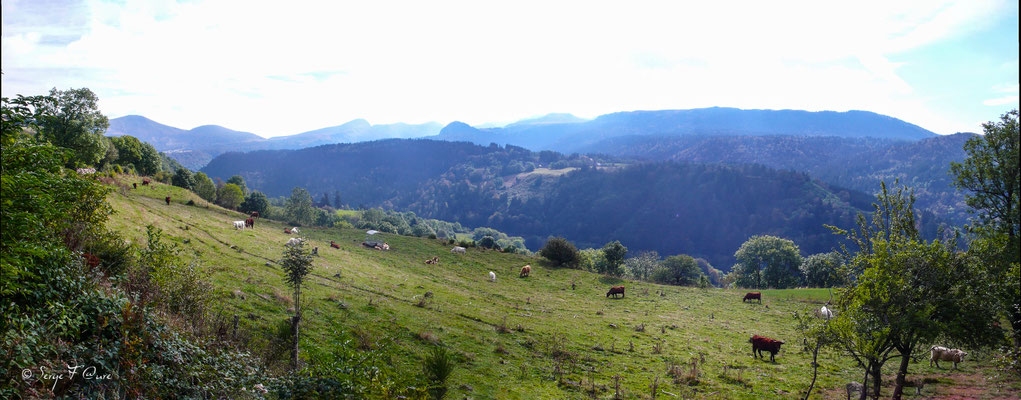 Vue sur le Mont Dore du chemin de Légal - Massif du Sancy - Auvergne - France 