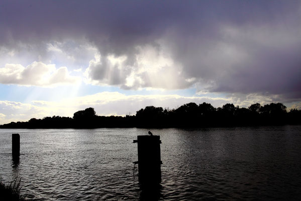 Bord de Seine orageux (Rouen - octobre 2010)