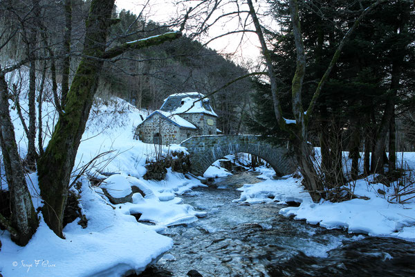 Source Félix au bord de la Dordogne - le Mont Dore - Massif du Sancy - Auvergne - France 