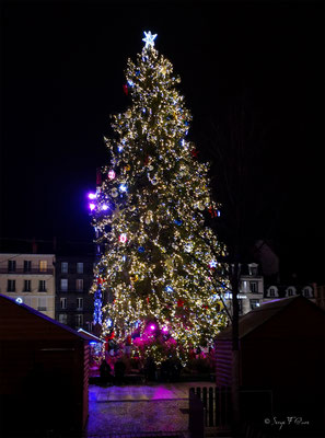 Le Sapin de Murat-le-Quaire place de Jaude à Clermont-Ferrand (Marché de Noël 2024) - Puy de Dôme - Auvergne - France