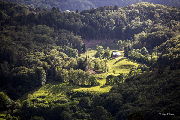Lieu-dit Chibet - Commune de St-Sauves-d'Auvergne  - Massif du Sancy - Auvergne - France