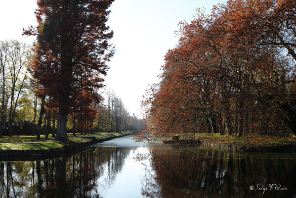 Parc du château de Rambouillet - Ile de France - Novembre 2011
