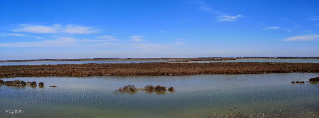 La Réserve Naturelle Nationale de Camargue - Les Saintes Maries de la Mer - Camargue - Bouches du Rhône - France