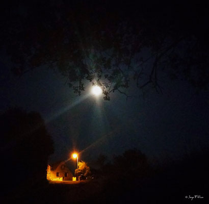 Nuit d'Halloween (2016) Photo façon tableau peinture Serge Faure
