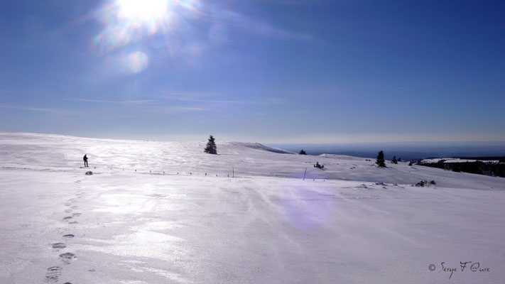 Les plaines brûlées - Chastreix Sancy - Auvergne - France