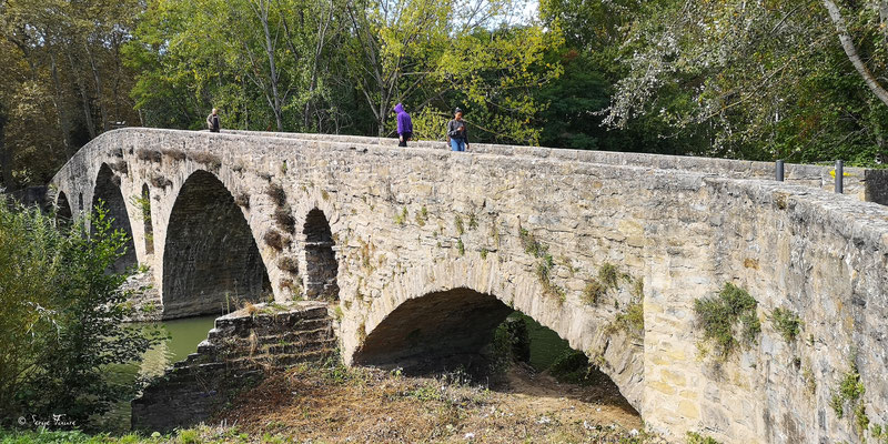 Pont de Magdalena, de la rivière Arga à Pampelune  - Sur le chemin de Compostelle