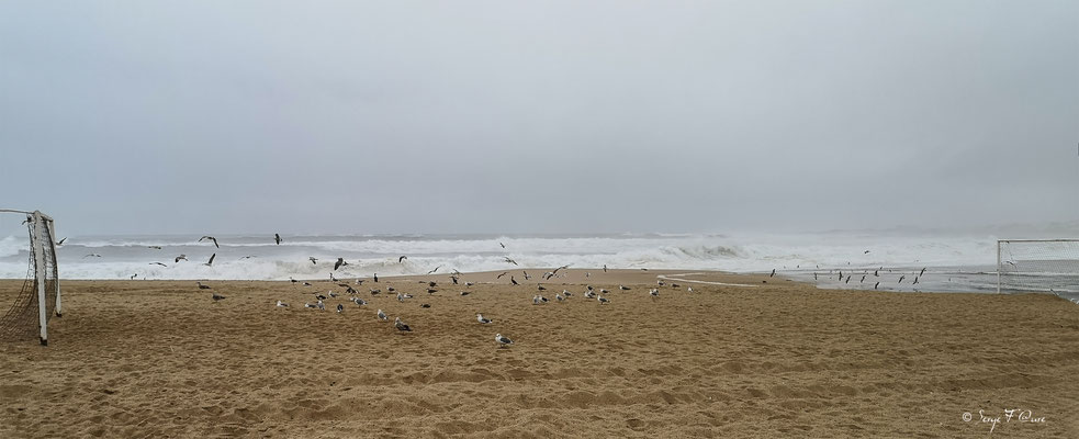  - Sur le chemin de Compostelle par le littoral