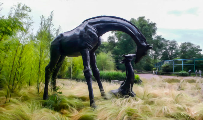 "Tendresse animalière" Girafe et girafon - Photo façon tableau peinture Serge Faure