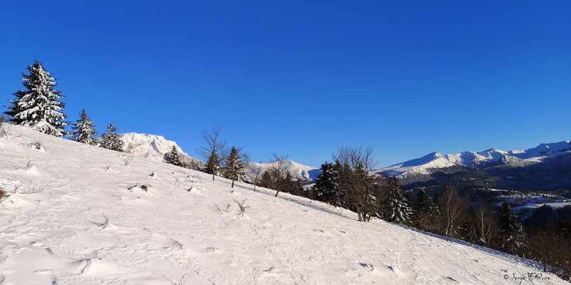Vue sur le Puy de Sancy du chemin  de la sapinière à Murat le Quaire - Massif du Sancy - Auvergne - France