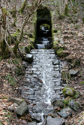 Petit ruisseau alimentant la Dordogne - Le  Mont Dore - Massif du Sancy - Auvergne - France