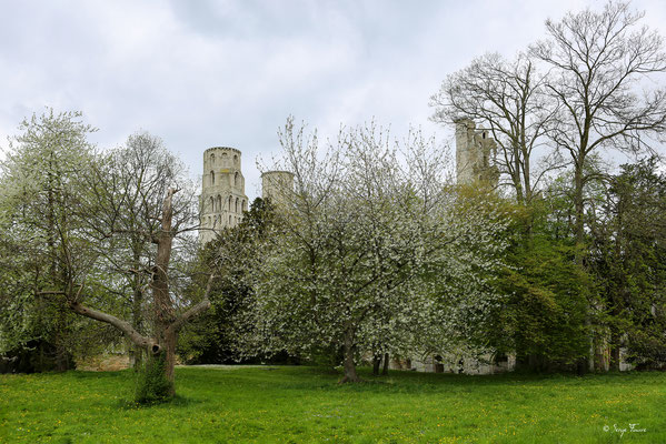 L'abbaye de Jumièges dans son paysage Normand - Normandie - France