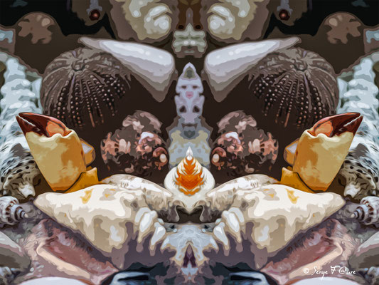 Portraits de nature marine peinte - Photo façon tableau peinture Serge Faure