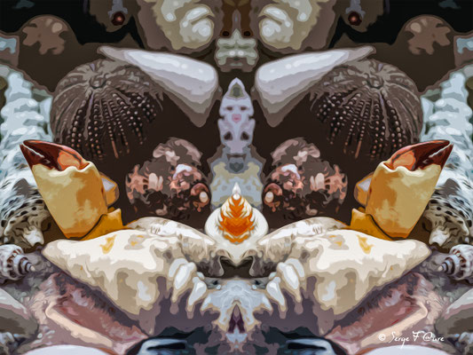 Portraits de nature marine peinte - Photo façon tableau peinture Serge Faure