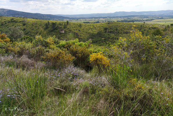 Le Roc des 2 Vierges à Saint Saturnin de Lucian