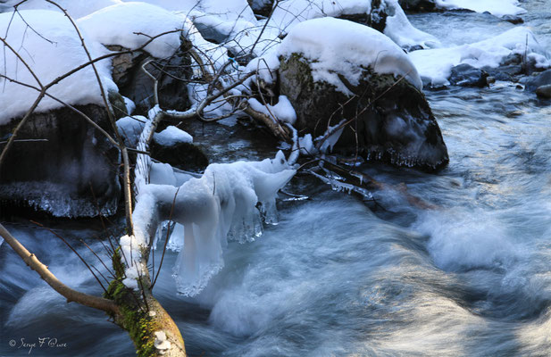 Ruisseau de l'enfer - le Mont Dore - Massif du Sancy - Auvergne - France 
