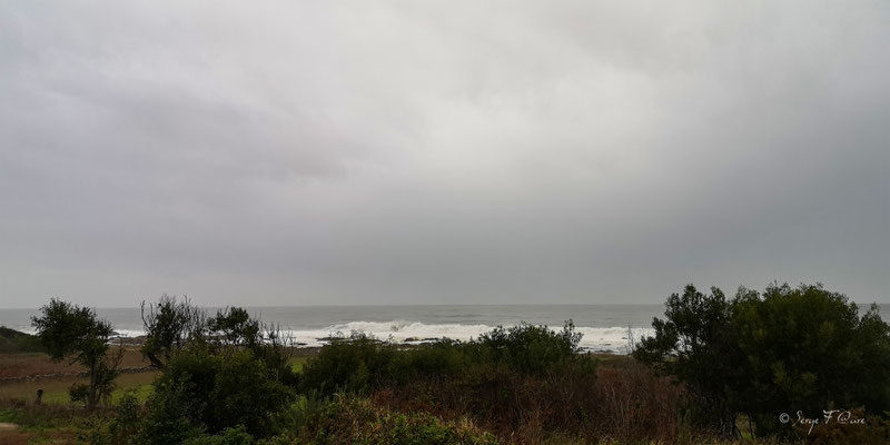  - Sur le chemin de Compostelle par le littoral