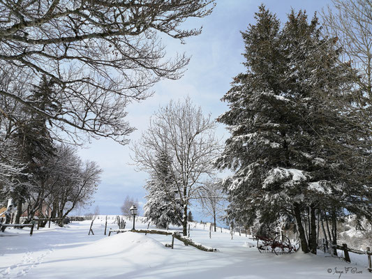 En allant vers Paillers (La Cabanne) - Murat le Quaire - Massif du Sancy - Auvergne - France
