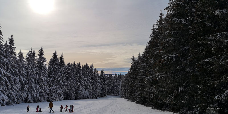 Piste de luge au dessus du chalet de la Banne - Murat le Quaire - Massif du Sancy - Auvergne - France