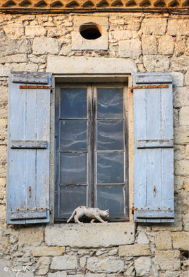 Le village de La Romieu est volontiers appelé le « village des chats » car un grand nombre de félins est présent au cœur village, sur les fenêtres, les portes, les yeux de bœuf et sur certains pas de portes. Sculptés en grande partie par Maurice Serreau