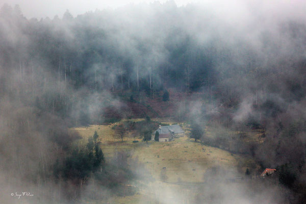 Le buron du lieu-dit Chibet sur la commune de St-Sauves d'Auvergne au travers de la mer de nuages. On distingue tout juste, veaux et vaches - Massif du Sancy - Auvergne - France