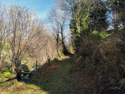 Chemin des caves - Murat le Quaire - Massif du Sancy - Auvergne - France