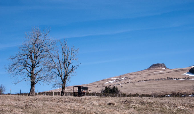 La Banne d'Ordanche - Massif du Sancy - Auvergne - France