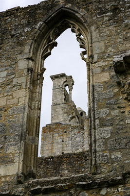 Vestiges de l'abbaye de Jumièges - Normandie - France