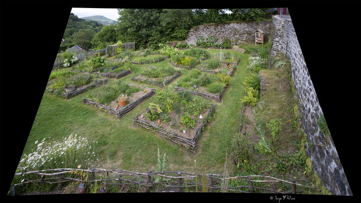 Jardin médiéval - Besse et Saint-Anastaise - Massif du Sancy - Auvergne - France