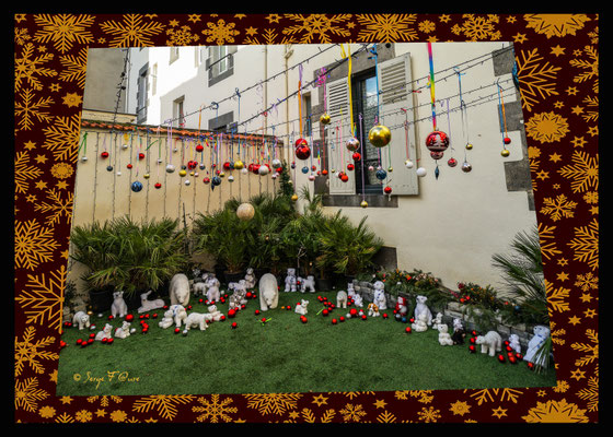 les traditionnelles illuminations de Noël de La Palmeraie, au 19 avenue de Royat à Chamalières - Puy-de-Dôme - Pour illuminer vos yeux et réchauffer les cœurs en cette fin d'année.