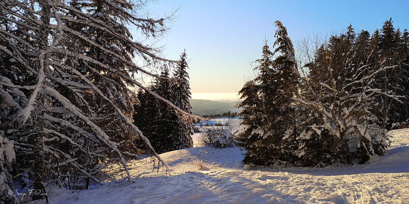 Paysage de neige sur le lac gelé de Murat le Quaire - Massif du Sancy - Auvergne - France