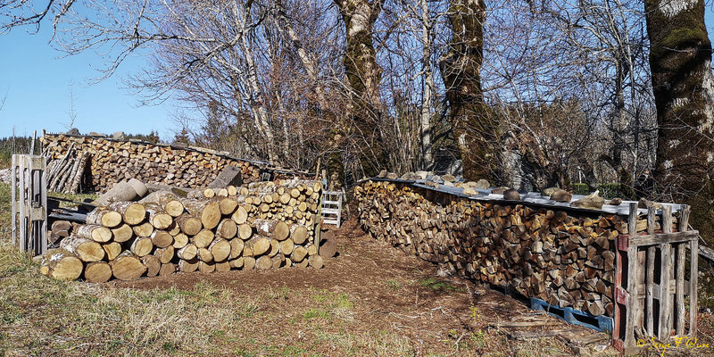 Tas de bois à Murat le Quaire - Massif du Sancy - Auvergne - France
