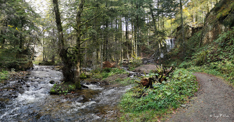Cascade du Rossignolet et ruisseau de l'Enfer - le Mont Dore - Massif du Sancy - Auvergne - France