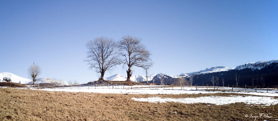 Le Massif du Sancy vu de l'Usclade - Petit hameau de Murat le Quaire - Auvergne - France