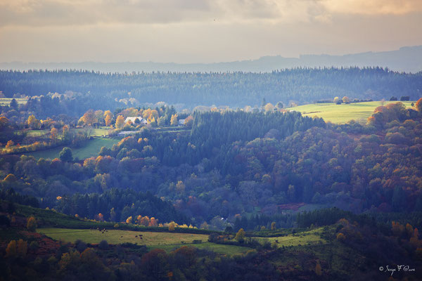 Paysage d'automne - Auvergne - France