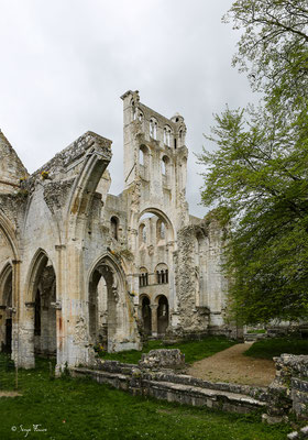 Vestiges de l'abbaye de Jumièges - Normandie - France