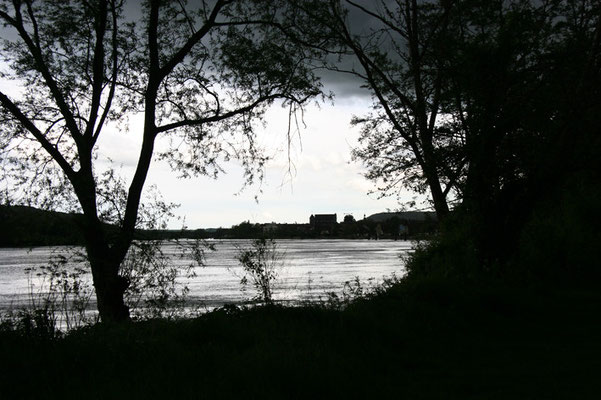 Vernon 2008