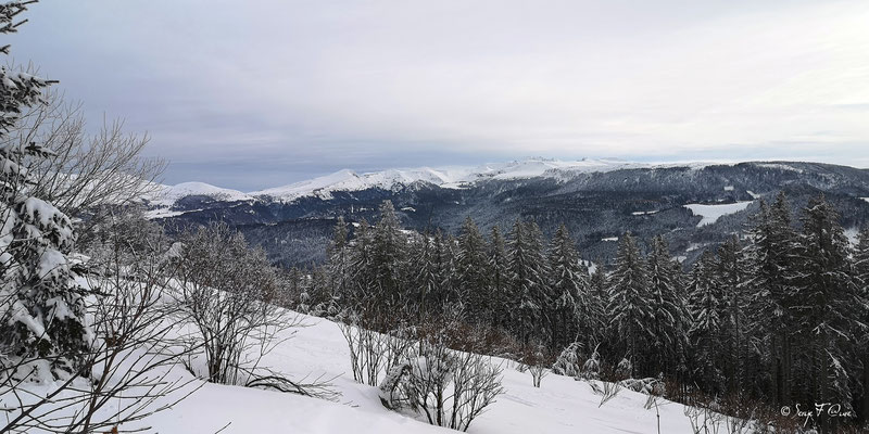 Vue sur le Sancy sous la neige - Murat le Quaire - Massif du Sancy - Auvergne - France