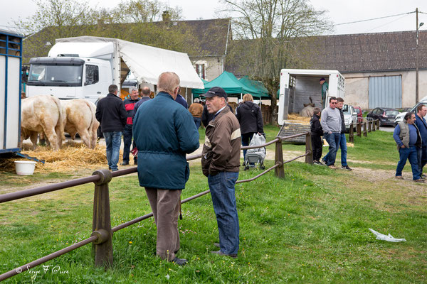 Foire de Giat (les bestiaux) - Auvergne - France (2017)