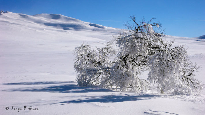 Les plaines brûlées - Chastreix Sancy - Auvergne - France