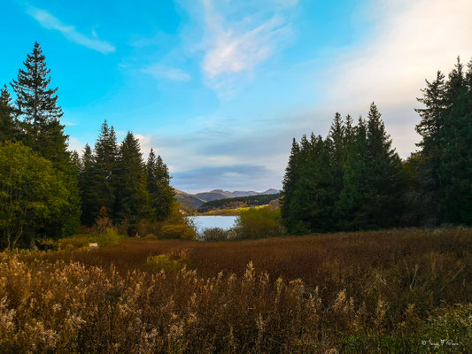 Lac du Guéry - Massif du Sancy - Auvergne - France