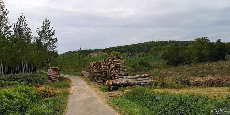 Arrivée à Lelin-Lapujolle - Gers - Pays de l'Armagnac - France - Sur le chemin de Compostelle 