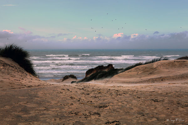La Manche vue des dunes à Saint Quentin en Tourmont - Picardie - France (Octobre 2013)