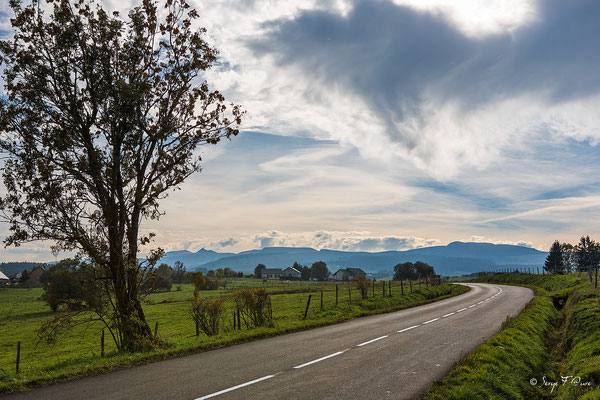 Au gré des champs dans le massif du Sancy - Auvergne - France