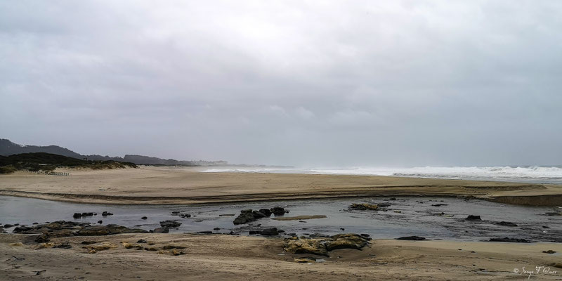  - Sur le chemin de Compostelle par le littoral