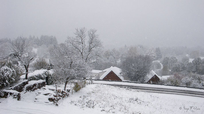 Paysage de neige - Murat le Quaire - Massif du Sancy  - Auvergne - France