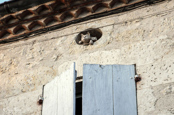 Le village de La Romieu est volontiers appelé le « village des chats » car un grand nombre de félins est présent au cœur village, sur les fenêtres, les portes, les yeux de bœuf et sur certains pas de portes. Sculptés en grande partie par Maurice Serreau