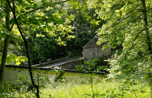 Sentier permettant d'aller à la rivière "La Couze Pavin" - Besse et Saint-Anastaise - Massif du Sancy - Auvergne - France