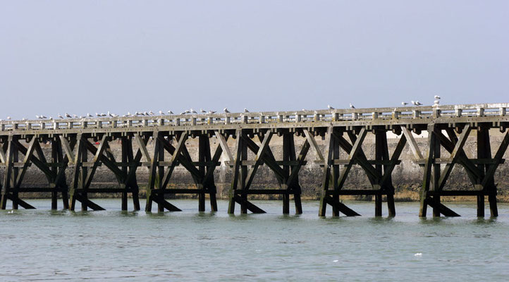 Le Tréport - Côte d'Albâtre - Normandie - France