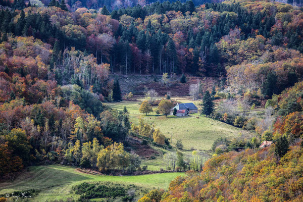 paysage automnal entre la Bourboule et St Sauves d'Auvergne (côté Charlannes) - Massif du Sancy - Auvergne - France
